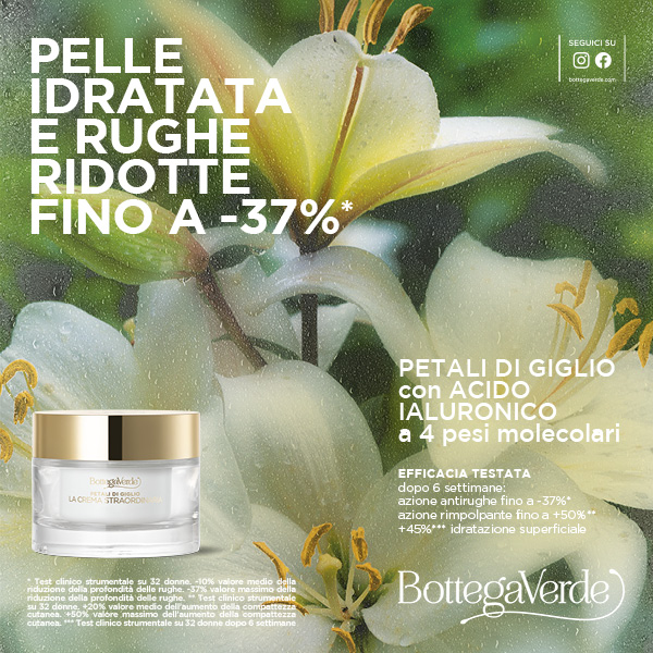 Linea ai petali di Giglio